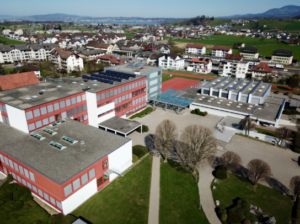 Mobbing wird in unserem in den Keller reformierten Bildungswesen gefördert