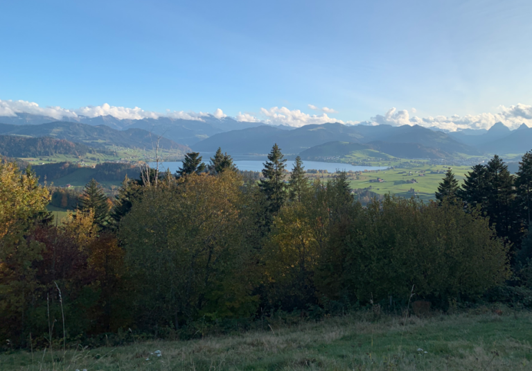 Die Mobbinghandlungen bis zum 1. nichtigen Verweis vom 18.11.2020